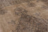 Antique Sparta Area Rug (10' x 13')